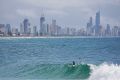 Irukandji jellyfish could spell doom for the Gold Coast's tourism industy, a James Cook University scientist has warned.