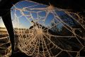 Low Temperature records for June were set last night in Sydneys west. Frost on Spider webs at Menangle Park in Sydneys ...