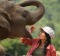 Lek Chailert, founder of the Elephant Nature Park SATDEC9HEROES Supplied PR image