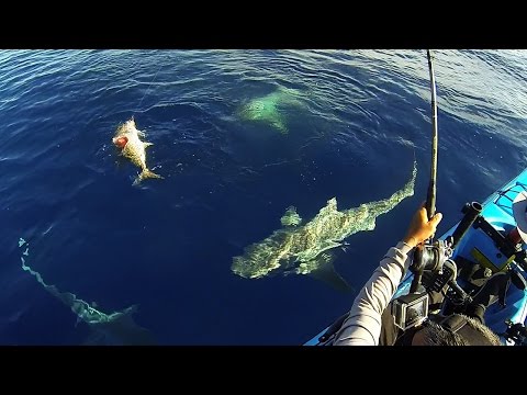 Keys Kayak Fishing - That Escalated Quickly