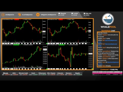 Whalepool: Bitcoin / Cryptocurrency Trading Live Stream 24/7/365