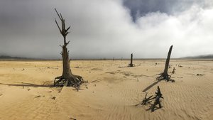 In this photo taken Sunday, April 16, 2017, the Theewaterskloof Dam, a key source of water supply to Cape Town, South Africa, is shown at low levels.