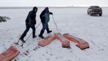 Inuit Food Arctic Health