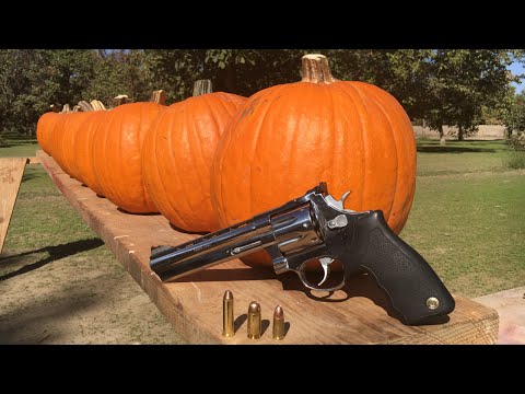 357 MAGNUM VS 45 ACP VS 9MM VS PUMPKIN