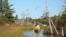 Blue Mountain-Birch Cove Lakes Regional Park