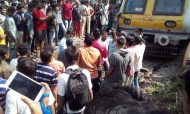 Protests by Dalit groups broke out across the state of Maharashtra after a commemoration of a 200-year-old battle was attacked on New Year's Day. Photo: Courtesy Kanchan Srivastava