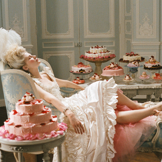 marie-antoinette-cakes-540x540