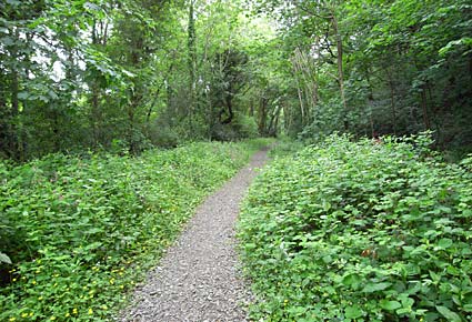 Cycling the Plym Valley Way, Plymouth to Yelverton, Devon, England, UK