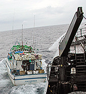 The Varadero I fleeing from the Ocean Warrior.