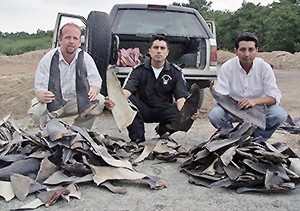 Sean O’Hearn and police officers display some of the confiscated shark fins.