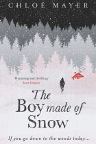 The Boy Made of Snow. By Chloe Mayer.