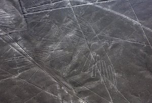 The geoglyph of the condor is seen from a plane in Nazca, Peru, Monday, Dec. 8, 2014.