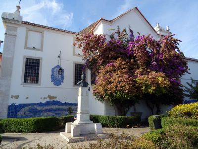 Garden, Miradouro de Santa Luzia, Lisbon