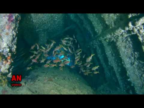 Wreck «SS Dunraven», Red sea - 2016