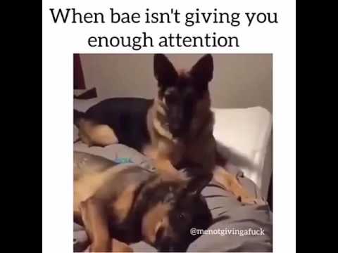 When bae is not going you enough attention