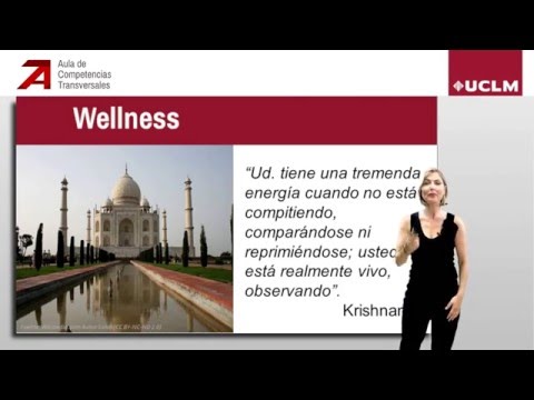 Wellness: Técnicas de mejora del bienestar