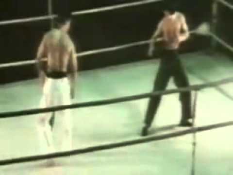 real fight Bruce Lee knew Gracie Jiu Jitsu  led to the MATA LEAO    YouTube