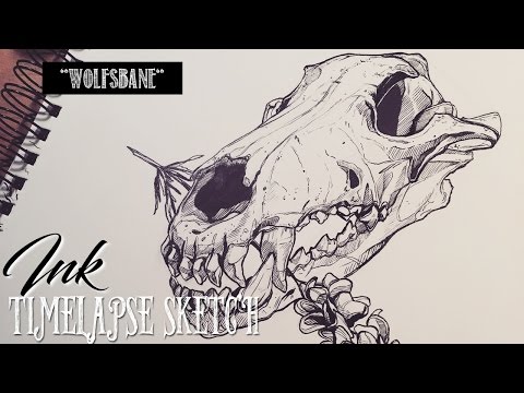 Wolfsbane ♢ Ink Speed Sketch