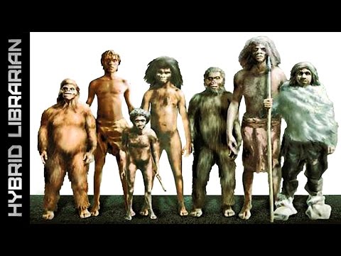 10 Mysterious Extinct Human Species