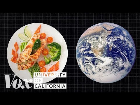 The diet that helps fight climate change