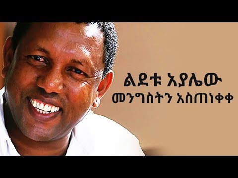 Ethiopia: Lidetu Ayalew on Current Issue in Ethiopia | ልደቱ አያሌው መንግስትን አስጠነቀቀ