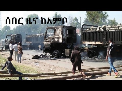 Breaking News - Ambo, Ethiopia - OMN