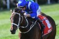 Hugh Bowman rides Winx to victory in the Cox Plate at Moonee Valley on Saturday.