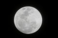 The moon appears in the first supermoon of 2018 as seen from suburban Makati city east of Manila, Philippines, on ...