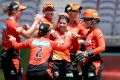 Jubilant Perth Scorchers players celebrate during their semi-final win on Thursday.