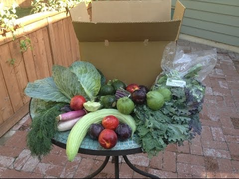 Local Farm Box: Organic Produce Unboxing