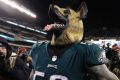 Dog days: Philadelphia Eagles defensive end Chris Long (R) celebrates with his underdog mask.