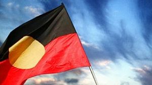 indigenous flag