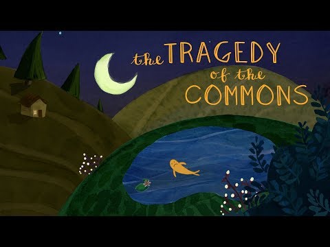 What is the tragedy of the commons? - Nicholas Amendolare