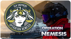 Operation Nemesis