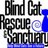 Blind Cat Rescue