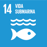 SDG 14