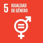 SDG 5