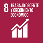 SDG 8