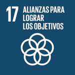 SDG 17