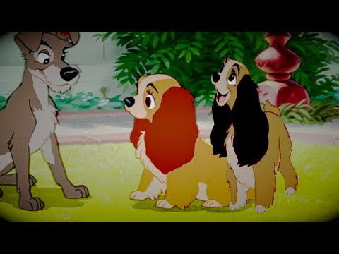 Congratulations {Lady and the Tramp and Hamilton}