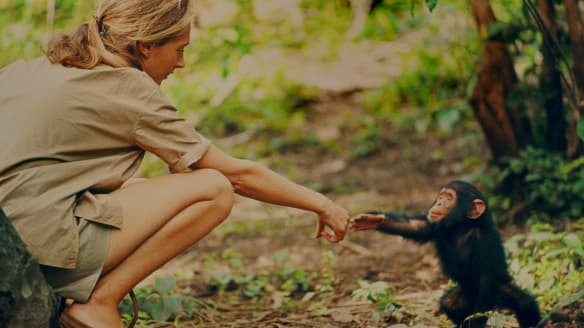 'We can put the world on the right track': why Jane Goodall isn't slowing down