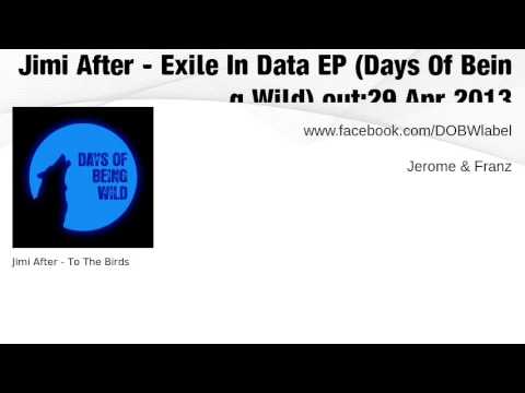 Jimi After: Exile In Data EP (WILD 017)