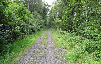 Cycling the Plym Valley Way, Plymouth to Yelverton, Devon, England, UK