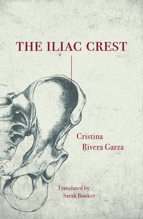 The Iliac Crest and Its Female Imposters