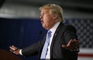 Republican presidential candidate Donald Trump speaks during a campaign rally, Saturday, Dec. 5, 2015, in Davenport, Iowa. (AP Photo/Charlie Neibergall)