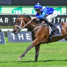 Winx can only enhance her status by taking on the world