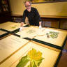 From history's page: original native flora prints come home to the State Library