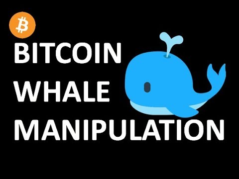 BITCOIN WHALE MANIPULATION! CRYPTOCURRENCY NEWS: CRYPTO, BTC, XRP RIPPLE, LITECOIN, ETHEREUM,CARDANO