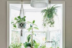 It's a jungle in there: Inside one woman's plant-filled rental home