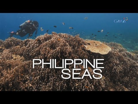 Philippine Seas, a documentary by Atom Araullo (full episode)